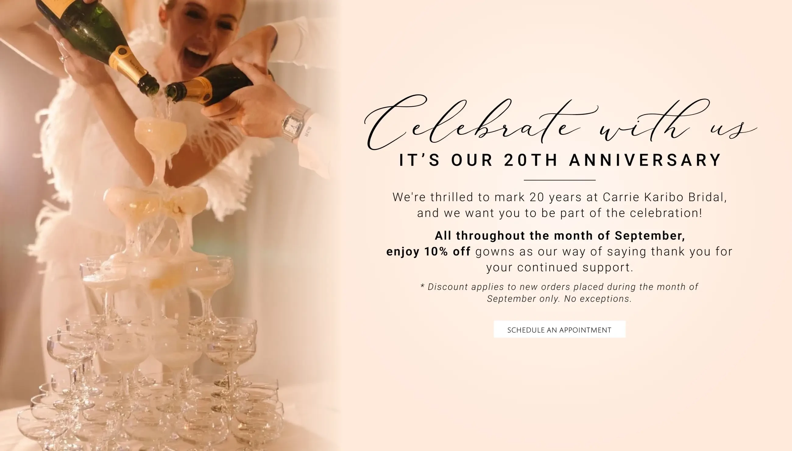Anniversary sale desktop banner